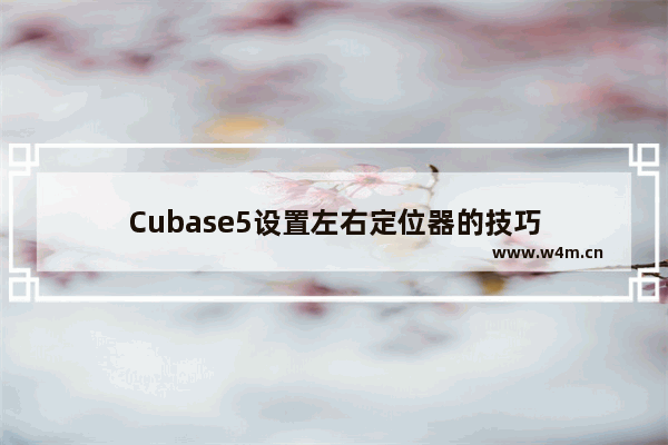 Cubase5设置左右定位器的技巧