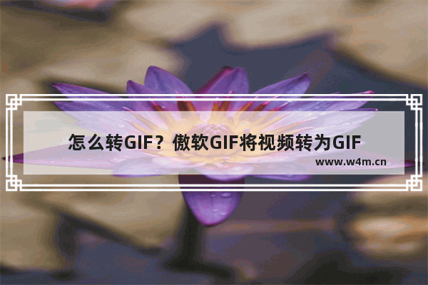 怎么转GIF？傲软GIF将视频转为GIF的方法