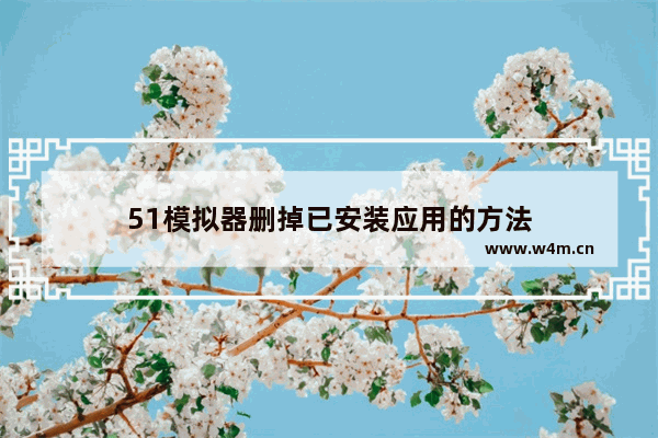 51模拟器删掉已安装应用的方法