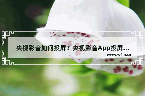 央视影音如何投屏？央视影音App投屏到电视的方法