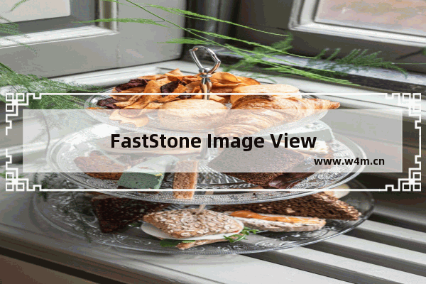 FastStone Image Viewer调整图片尺寸的方法