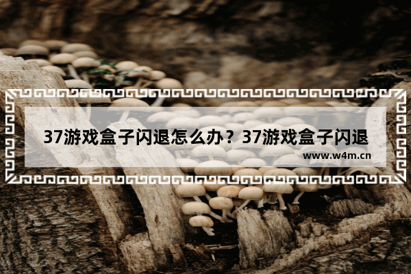 37游戏盒子闪退怎么办？37游戏盒子闪退的解决方法