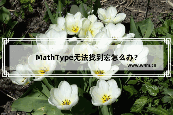 MathType无法找到宏怎么办？