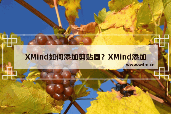 XMind如何添加剪贴画？XMind添加剪贴画的方法