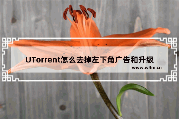 UTorrent怎么去掉左下角广告和升级提示？