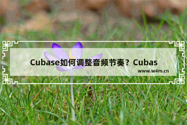 Cubase如何调整音频节奏？Cubase调整音频节奏的技巧