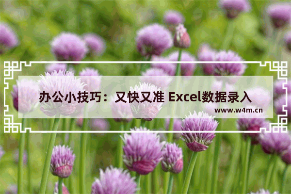 办公小技巧：又快又准 Excel数据录入有高招