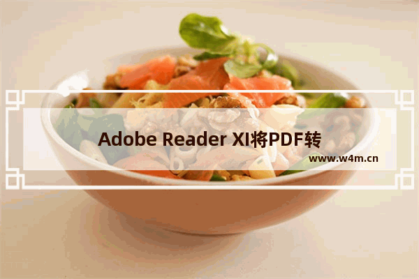 Adobe Reader XI将PDF转换成Word的方法