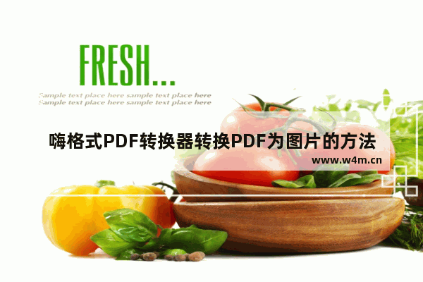 嗨格式PDF转换器转换PDF为图片的方法