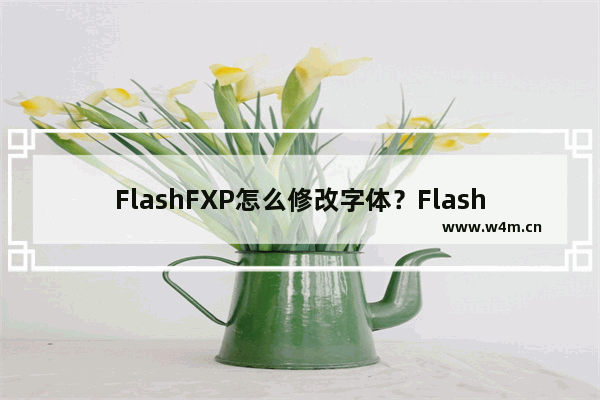 FlashFXP怎么修改字体？FlashFXP修改字体的方法