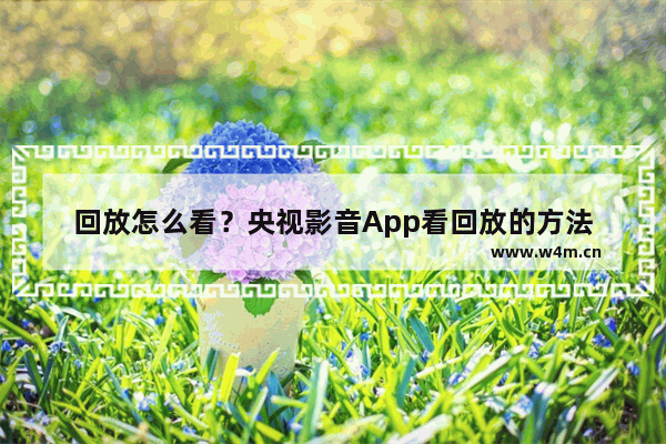 回放怎么看？央视影音App看回放的方法