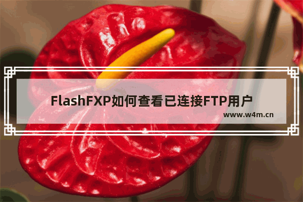 FlashFXP如何查看已连接FTP用户名及密码？