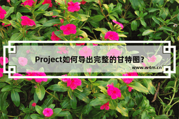 Project如何导出完整的甘特图？