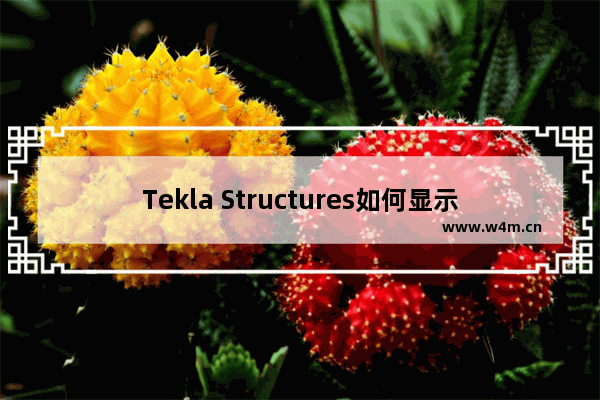 Tekla Structures如何显示隐藏构件？