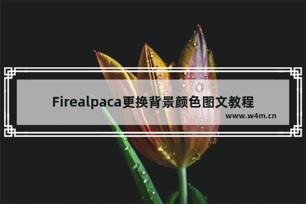 Firealpaca更换背景颜色图文教程