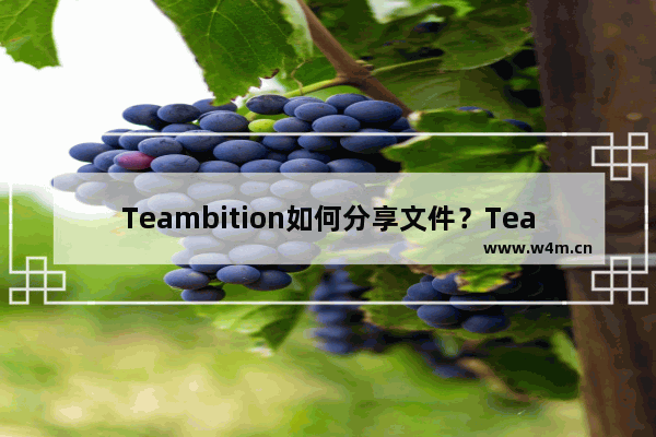 Teambition如何分享文件？Teambition分享文件的方法