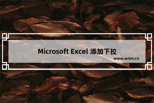 Microsoft Excel 添加下拉菜单的技巧