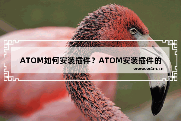 ATOM如何安装插件？ATOM安装插件的技巧