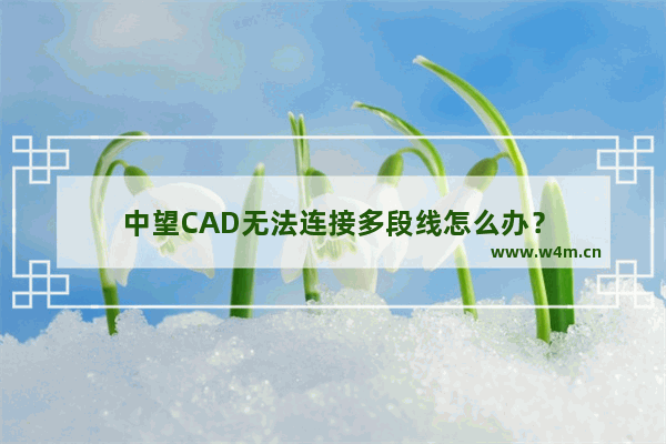 中望CAD无法连接多段线怎么办？