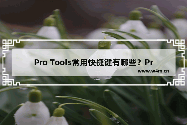 Pro Tools常用快捷键有哪些？Pro Tools快捷键大全