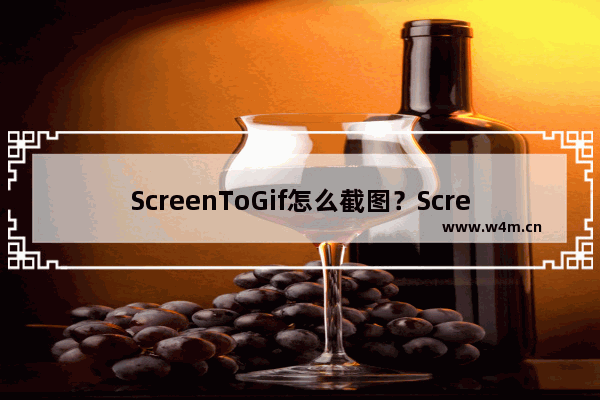 ScreenToGif怎么截图？ScreenToGif截GIF图的方法