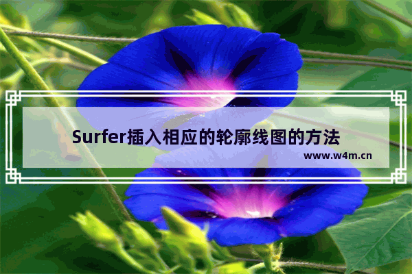 Surfer插入相应的轮廓线图的方法