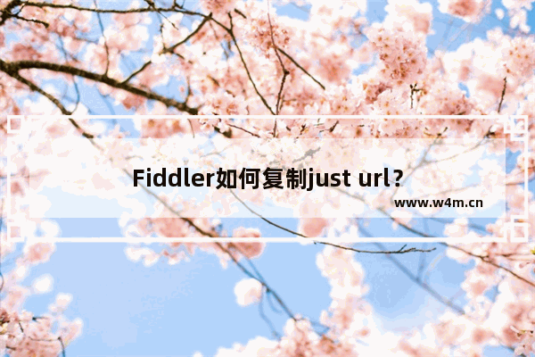 Fiddler如何复制just url？Fiddler复制just url的技巧