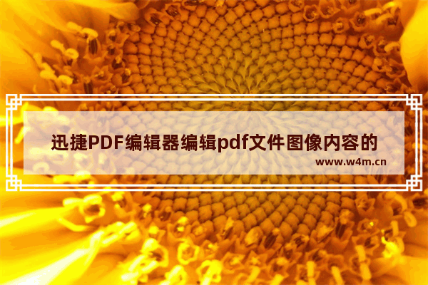 迅捷PDF编辑器编辑pdf文件图像内容的技巧