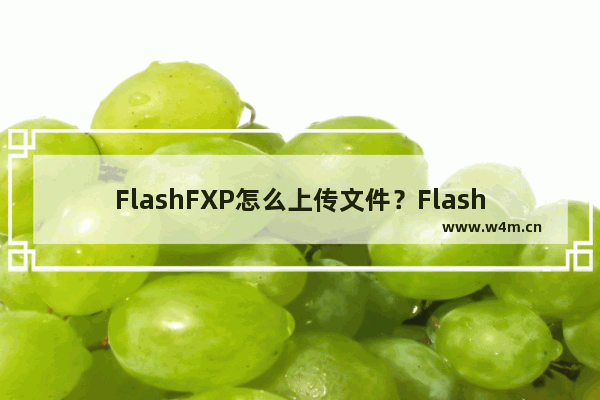 FlashFXP怎么上传文件？FlashFXP上传文件的方法