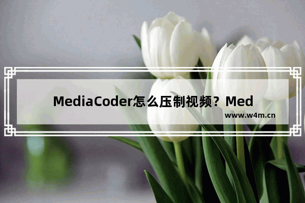 MediaCoder怎么压制视频？MediaCoder压制视频教程