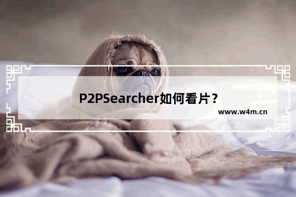 P2PSearcher如何看片？