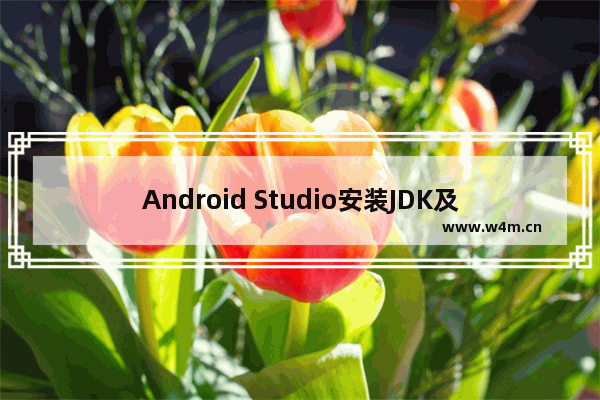 Android Studio安装JDK及配置环境的方法