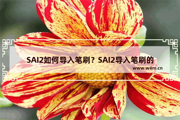 SAI2如何导入笔刷？SAI2导入笔刷的技巧