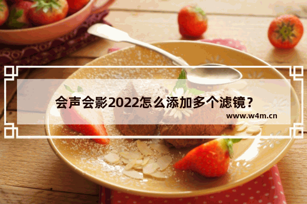 会声会影2022怎么添加多个滤镜？