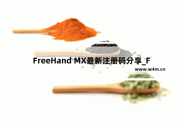 FreeHand MX最新注册码分享_FreeHand MX密钥下载