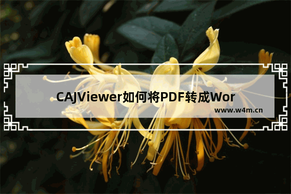 CAJViewer如何将PDF转成Word格式？