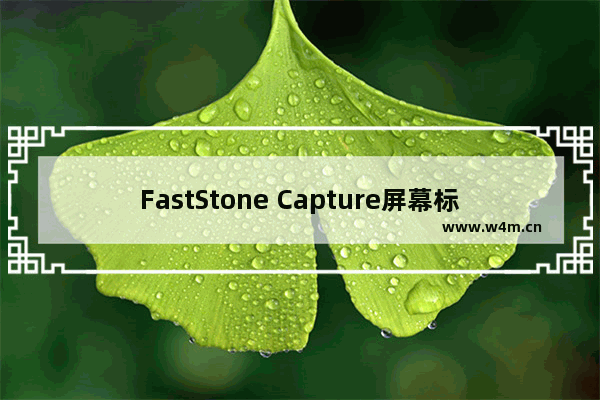 FastStone Capture屏幕标尺如何使用？