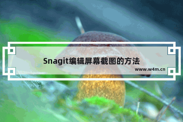 Snagit编辑屏幕截图的方法