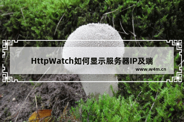 HttpWatch如何显示服务器IP及端口号？