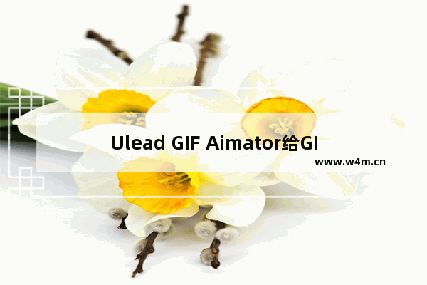 Ulead GIF Aimator给GIF图片加边框的方法