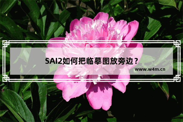 SAI2如何把临摹图放旁边？