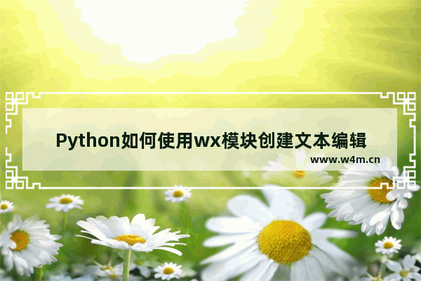 Python如何使用wx模块创建文本编辑器？