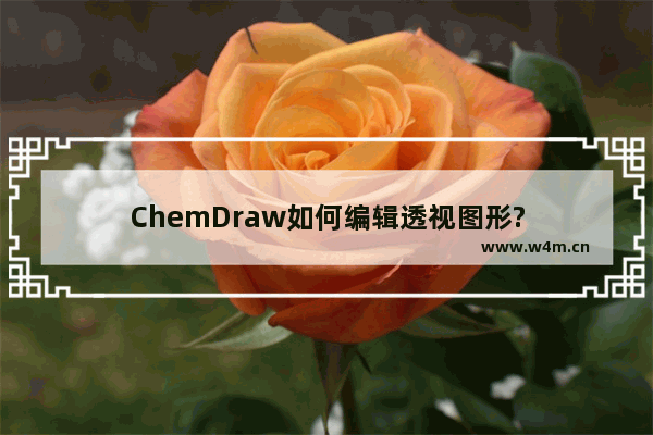 ChemDraw如何编辑透视图形?