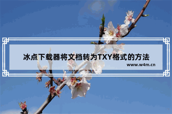 冰点下载器将文档转为TXY格式的方法