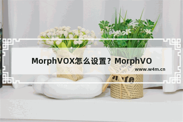 MorphVOX怎么设置？MorphVOX设置教程