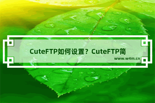 CuteFTP如何设置？CuteFTP简单设置教程