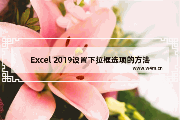 Excel 2019设置下拉框选项的方法