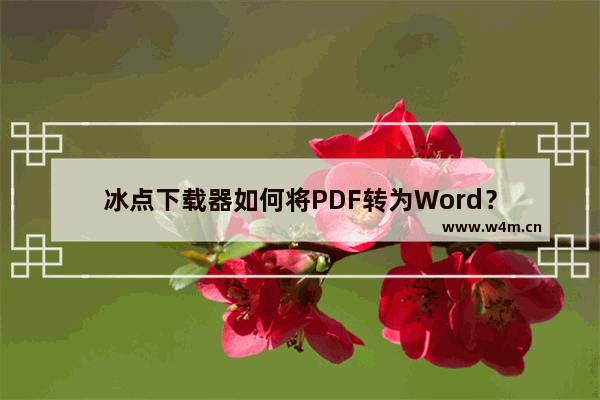 冰点下载器如何将PDF转为Word？