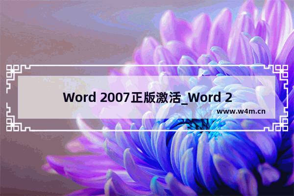 Word 2007正版激活_Word 2007序列号下载