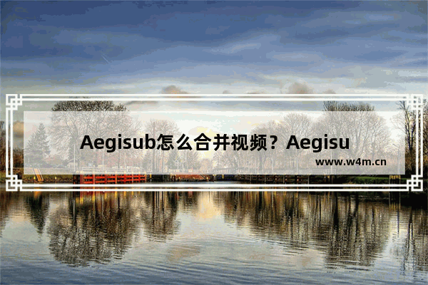 Aegisub怎么合并视频？Aegisub合并视频的方法